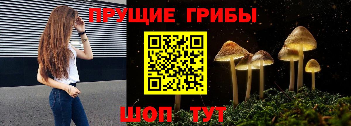 Псилоцибиновые грибы Cubensis Джанкой